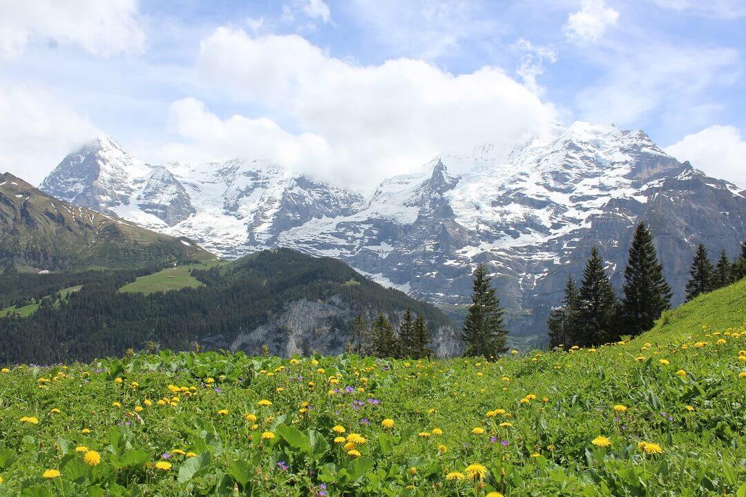 Lauterbrunnen by train - View of the Bernese Alps after an intensive hike