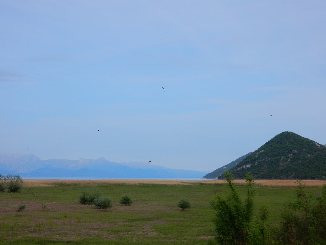 3 - Virpazar by train - Lake skadar with Albania in the distance