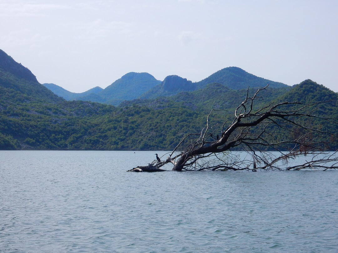 2 - Virpazar by train - Stunning lake skadar