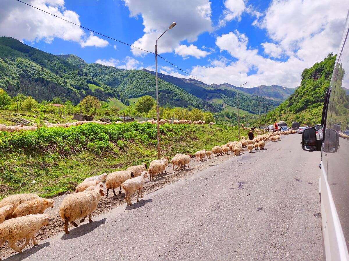 Top 5 things to see in Georgia - The road to Kazbegi