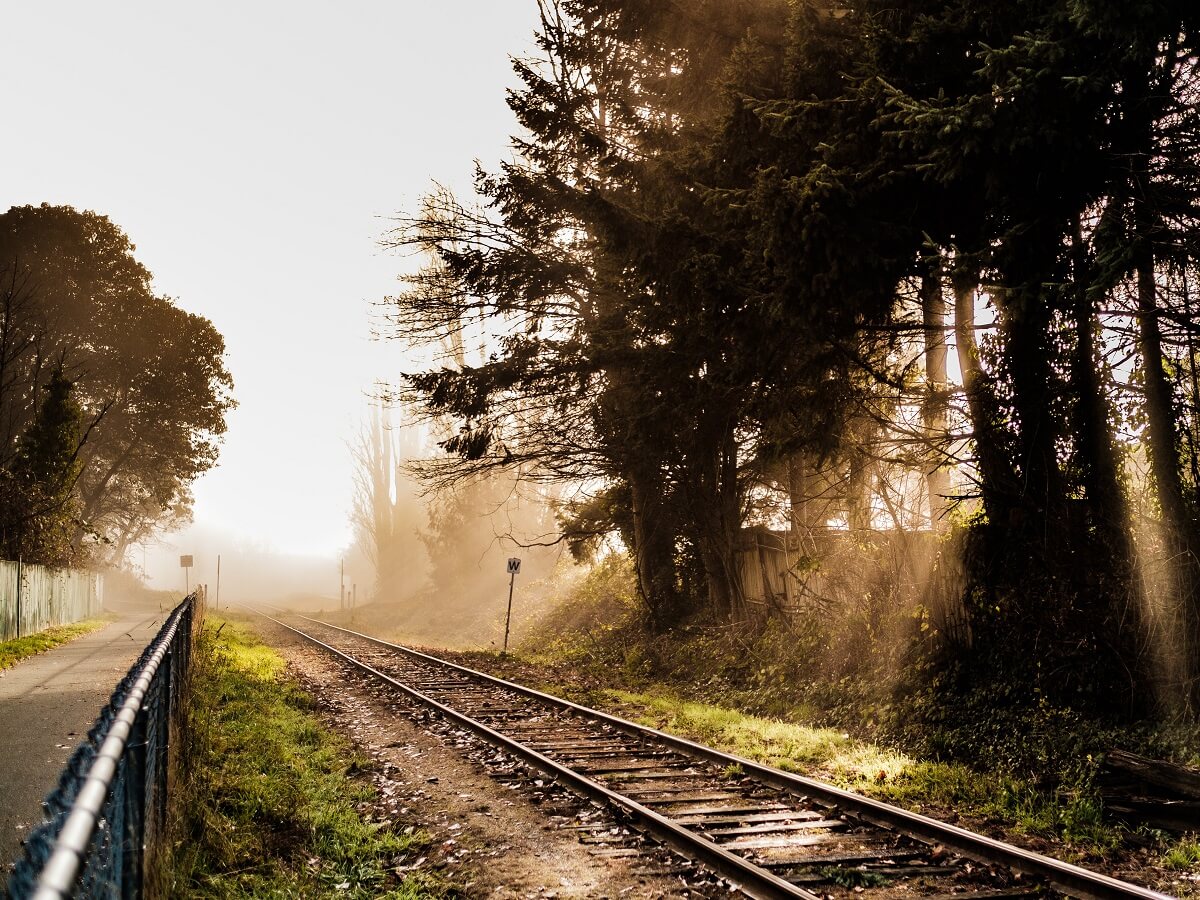 Train Types - Imagine a train. Where will it bring you.. - Photo by Cory Woodward on Unsplash